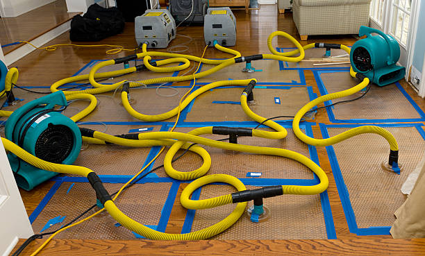 Professional Basement Flood Cleanup technician working in Greenvale, NY